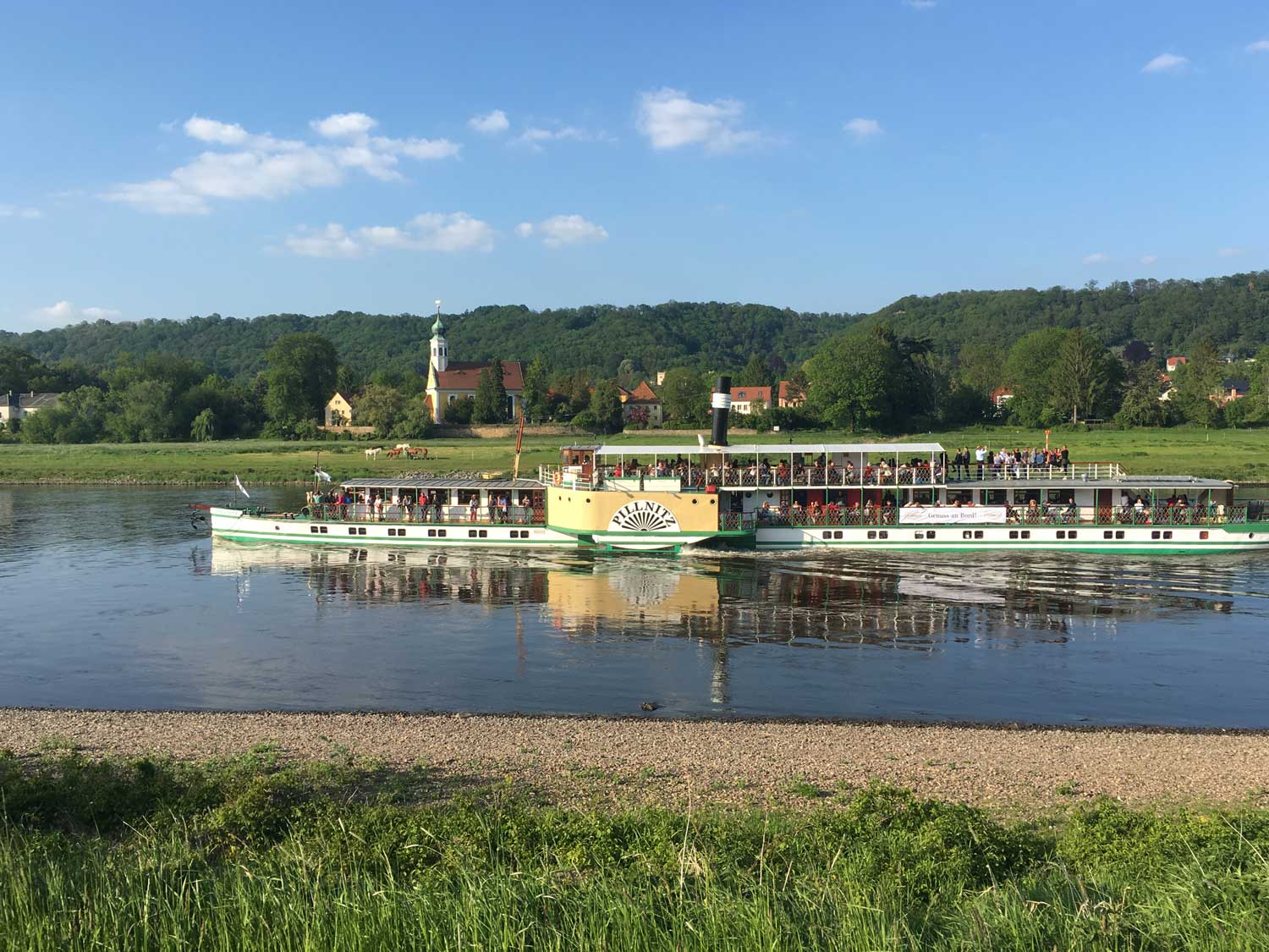 Dampfer in Dresden