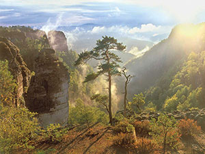 Prebischgrund - Böhmische Schweiz