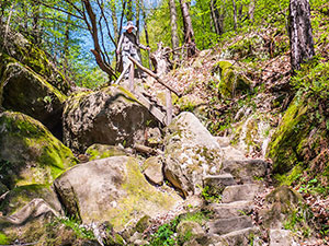 Dorfbachklamm bei Altendorf - Sächsische Schweiz