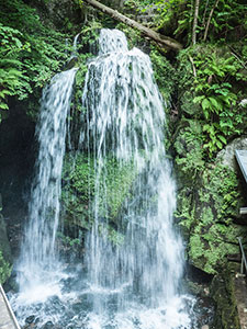 Amselfall - Sächsische Schweiz